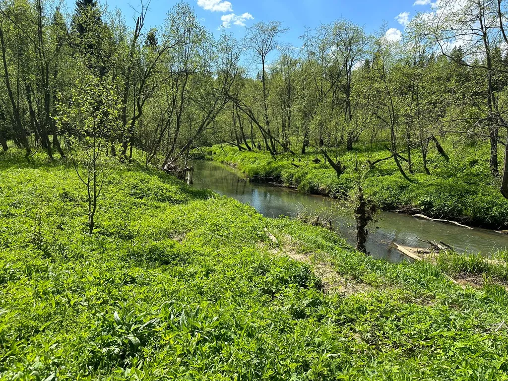 Маленький домик в лесу на Живописной улице
