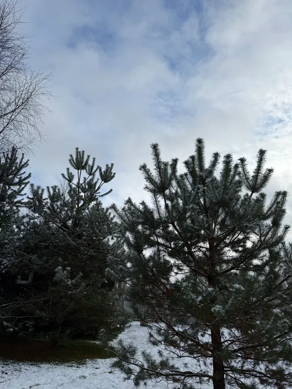 Уютный дом с террасой вблизи Пушкинских Гор