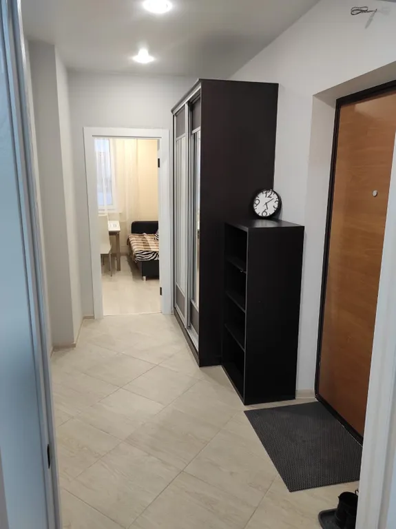 Просторная однокомнатная квартира