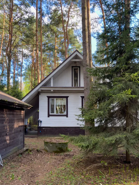 Загородный дом в соснах недалеко от Москвы