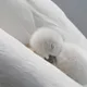 Ольга