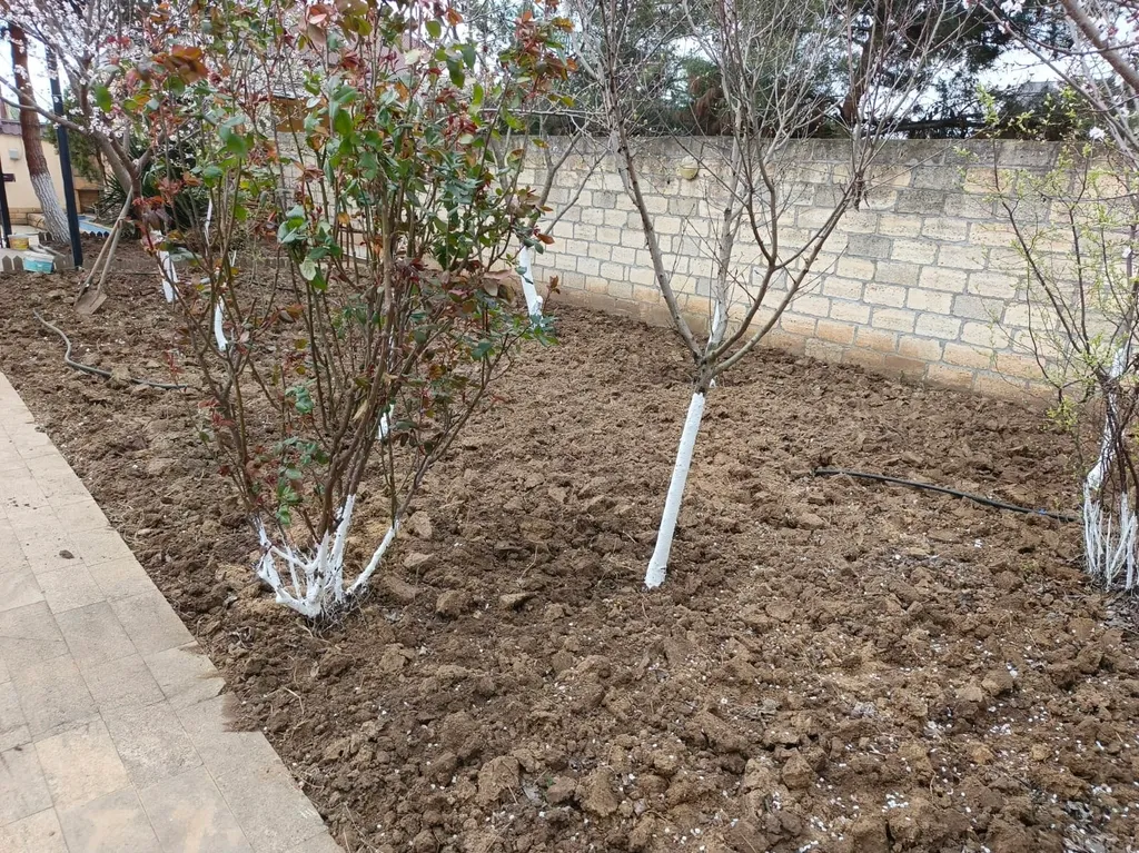 Уютная дача для семейного отдыха