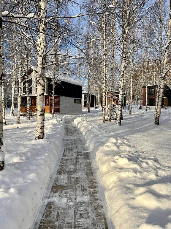 Дом Радха в Березовой роще