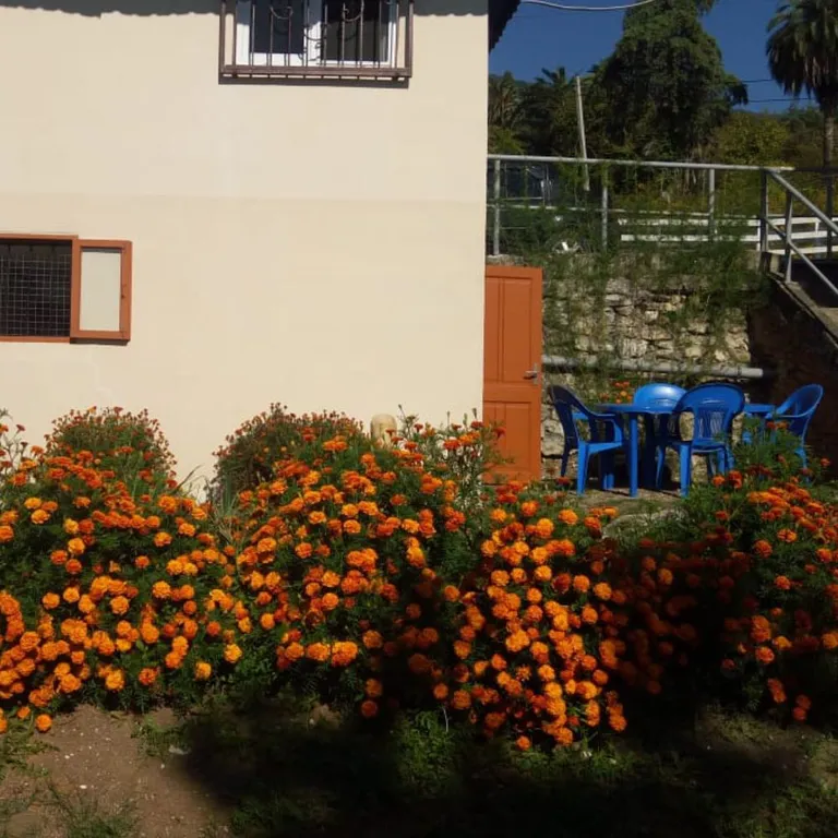 Двухэтажный коттедж "Мидия" — аренда посуточно в Новый Афон