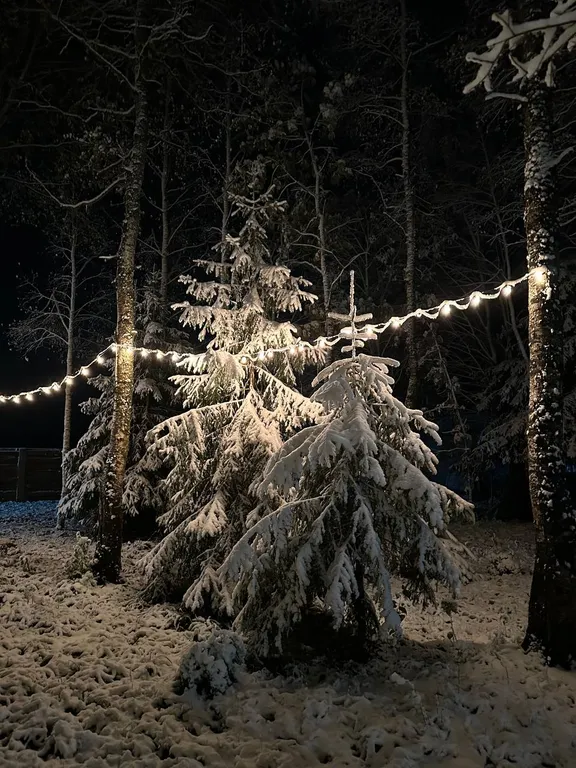 Шале в лесу в Подмосковье