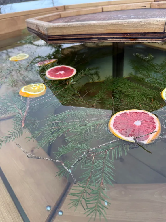 Загородный дом с баней и чаном