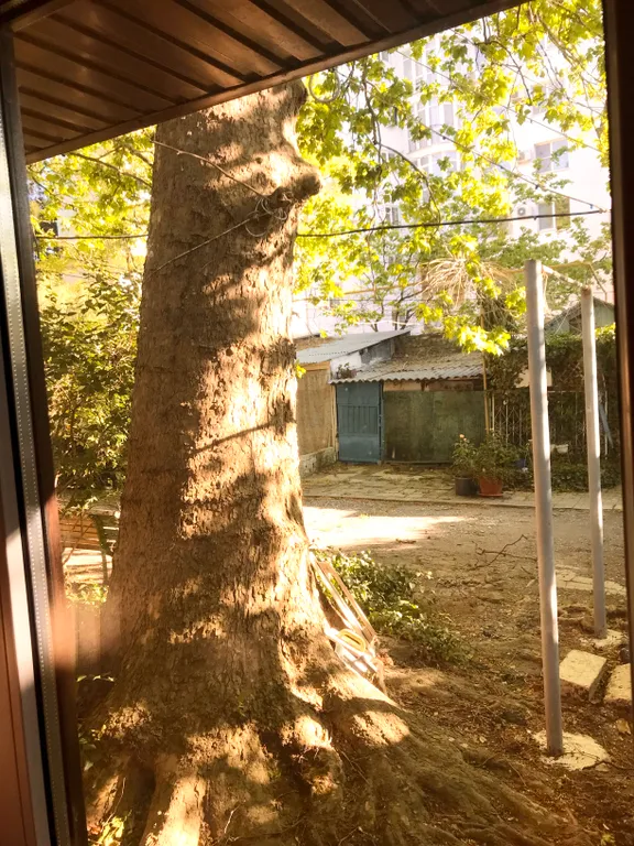 Частный дом в центре