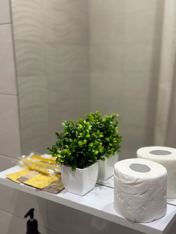 Уютная студия в центре города