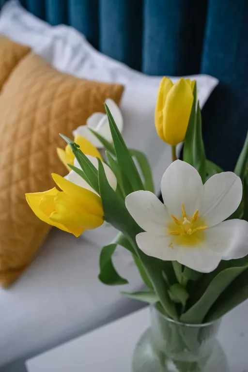 Квартира Квартира Стильная студия Бирюзовая в центре — Калининград