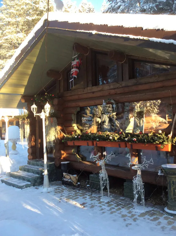 Дом в сосновом бору