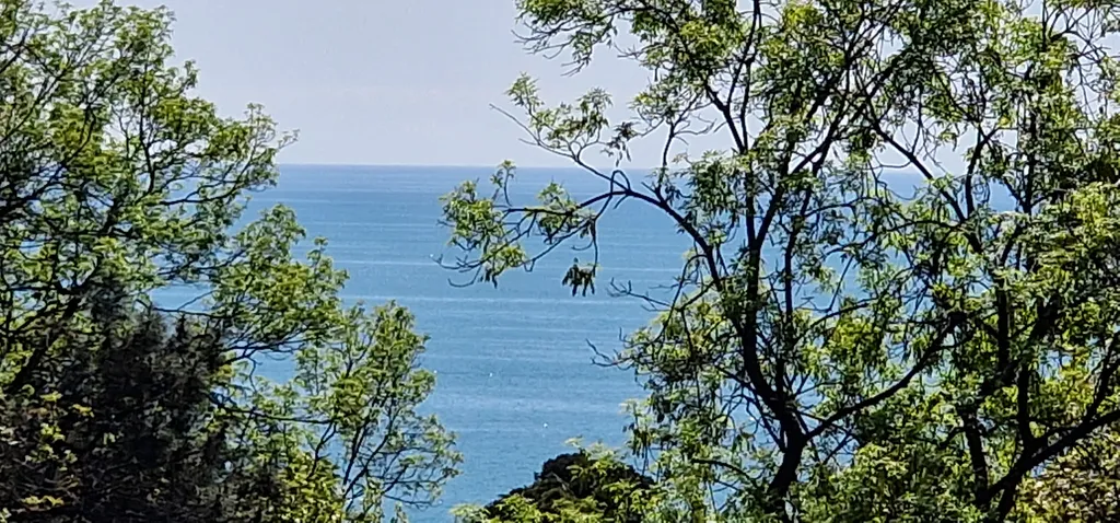 Квартира Апартаменты с видом на море — Сочи
