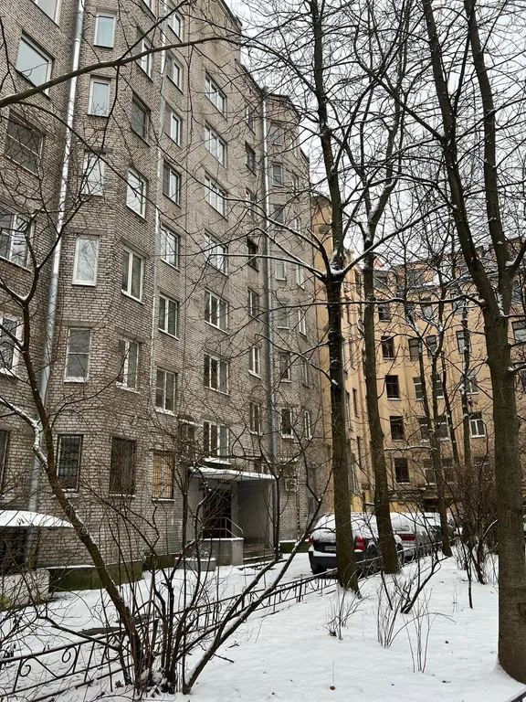 Бизнес-класс "Матильда" на Петроградке
