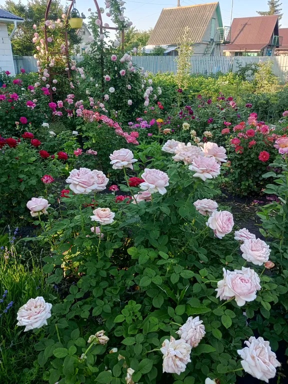 Уютная дача посуточно для семейного отдыха, ночлега