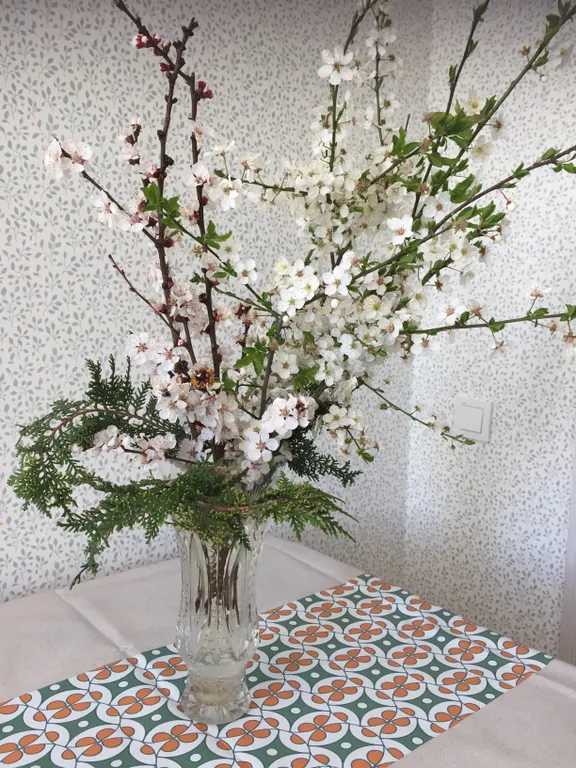 Квартира Новая квартира в новом районе — Севастополь