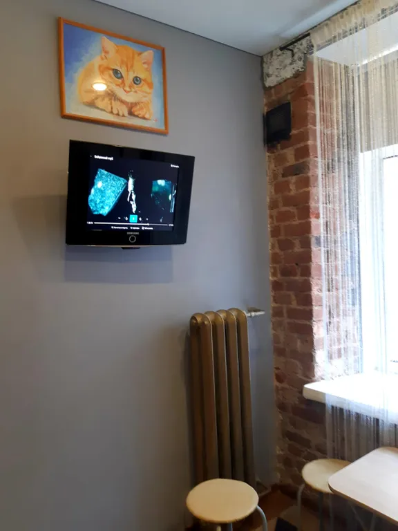 СПА-люкс с джакузи