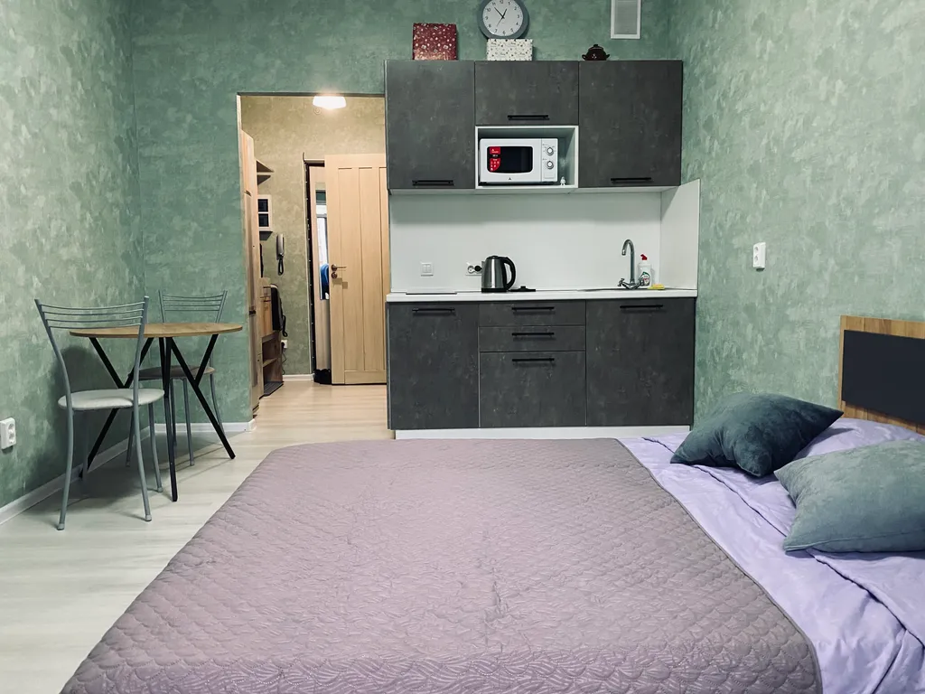 1-комнатная Квартира — аренда посуточно в Мурино