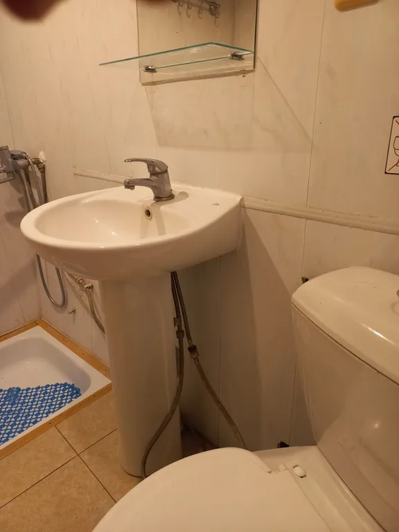 Буревестник