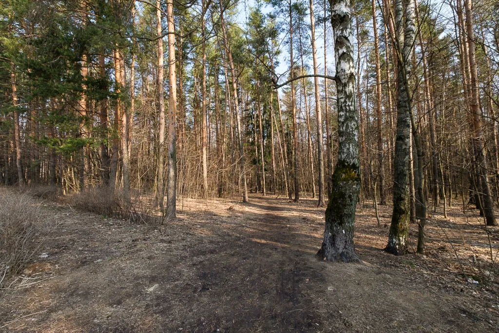 Широкая кровать и балкон для отдыха