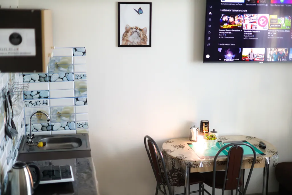 Уютная студия с видом на реку Иртыш