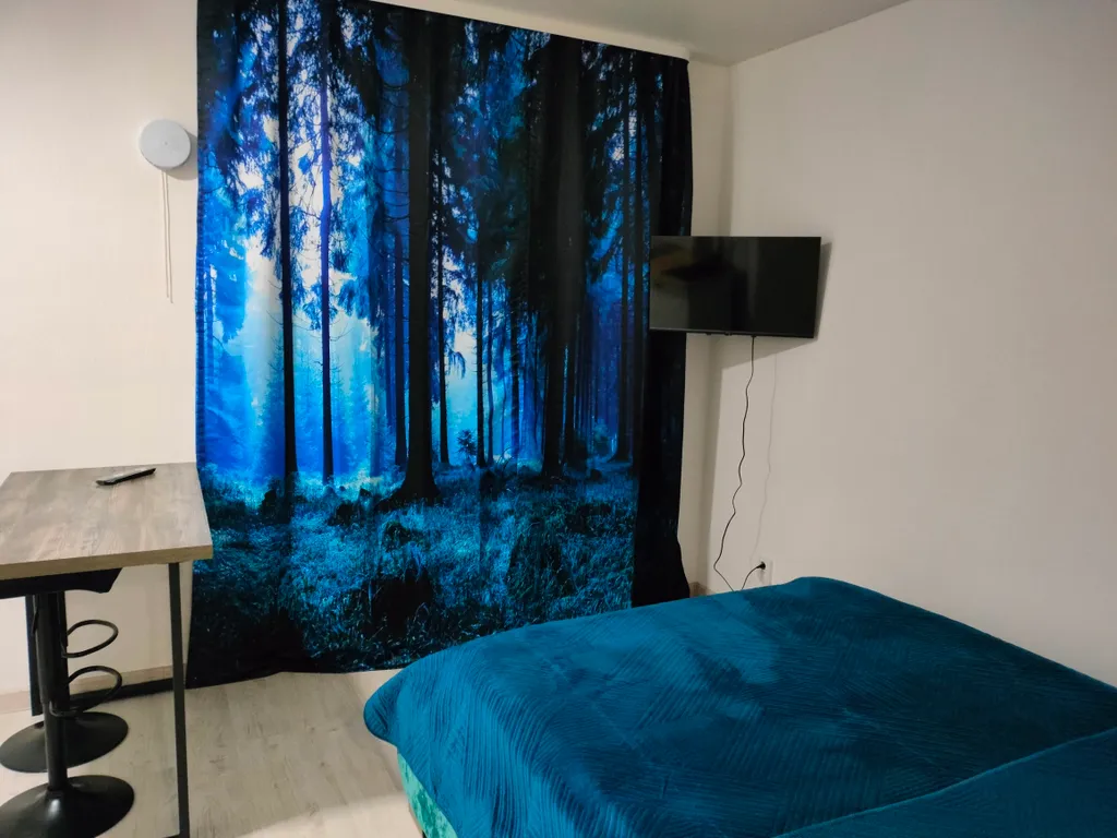 Уютная студия в академическом районе