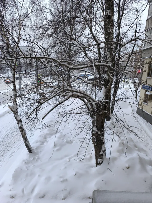 Квартира Квартира с дизайнерским ремонтом в престижном центре города — Москва