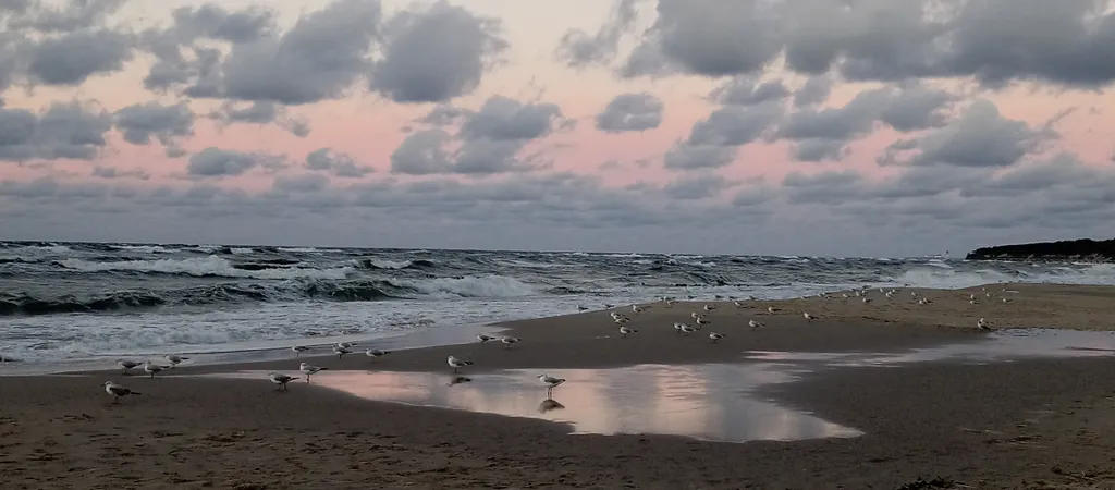 Просторная квартира на тихой улице