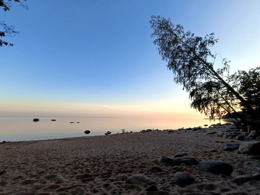 Домик в лесу