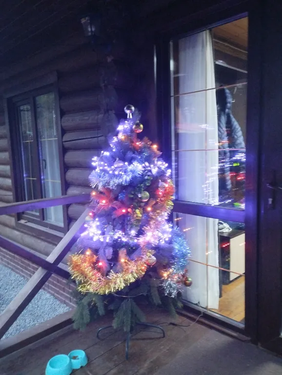 Дом с сауной