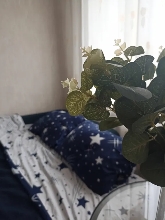 Семейная квартира в центре города