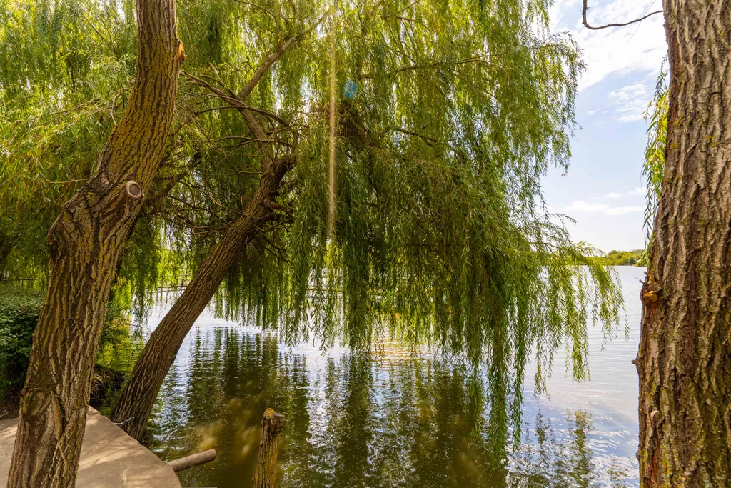 ВИП номер у реки с зоной барбекю, посещение зоны  СПА в подарок!