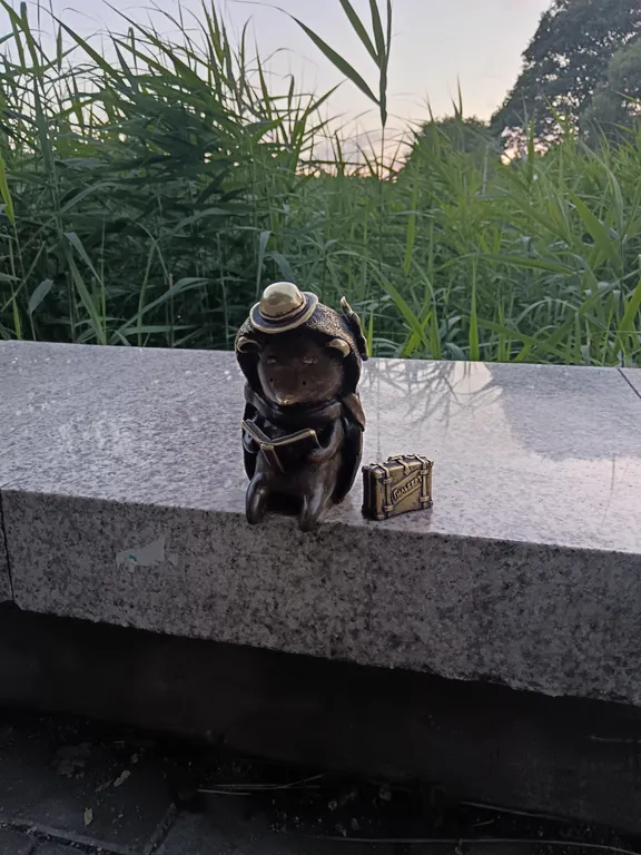 Квартира Уютная квартира — Светлогорск