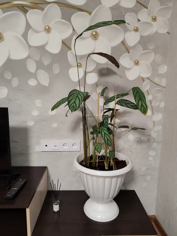 Двухкомнатная квартира в район вокзала