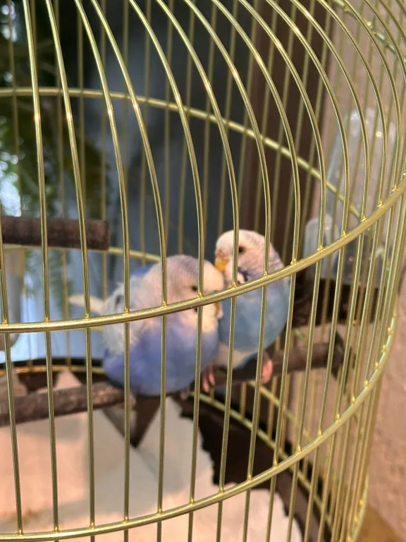 Уютная квартира с дизайнерским ремонтом в самом центре города