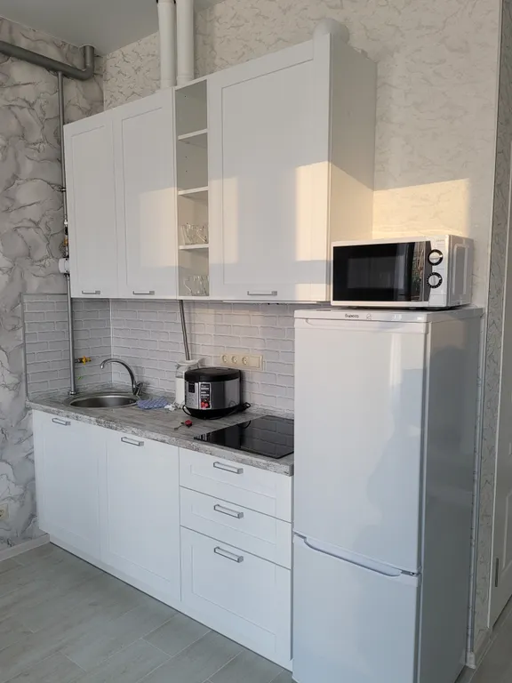 Квартира 1-комнатная Квартира — Сириус