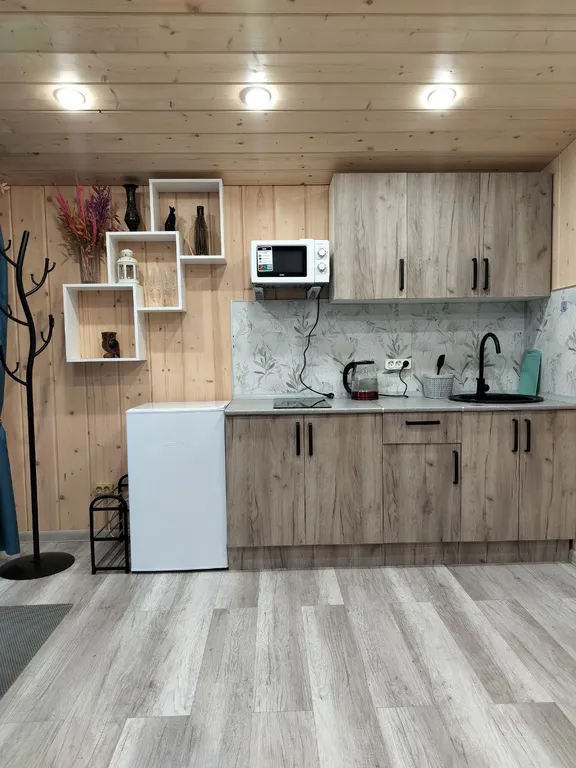 Новый современный Барнхаус посреди леса