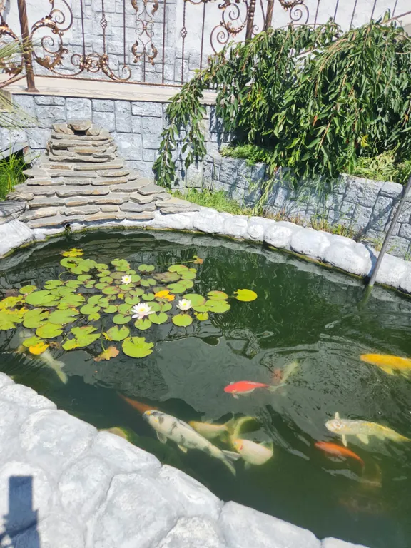 Апартаменты-студия с парковкой