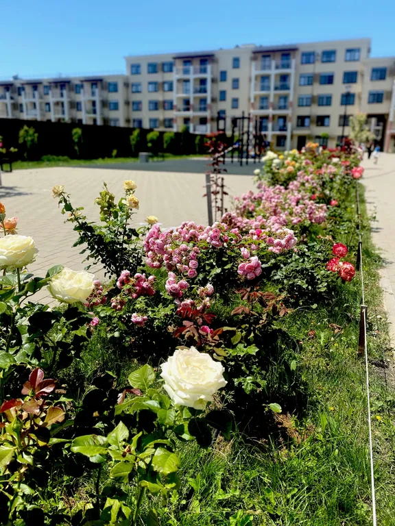 Семейная квартира с бассейнами