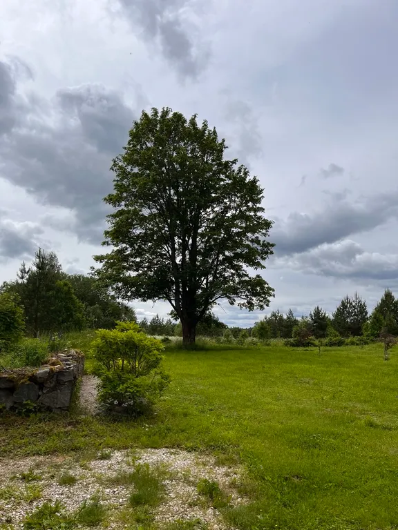 Гостевой домик на хуторе Керино