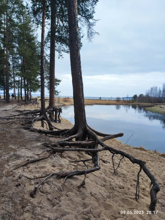 Карельский хутор A-frame