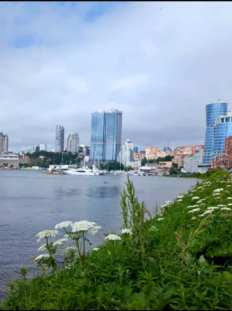 Бухта Федорова