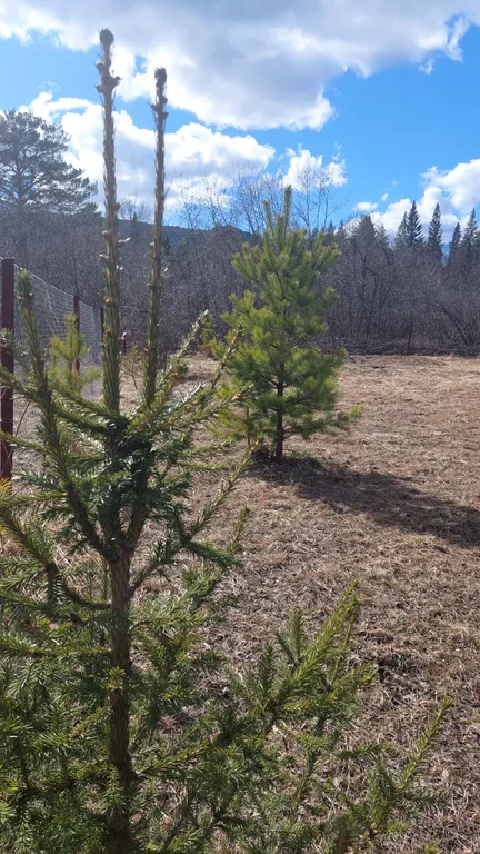 Уютный домик с видом на гору Малиновая