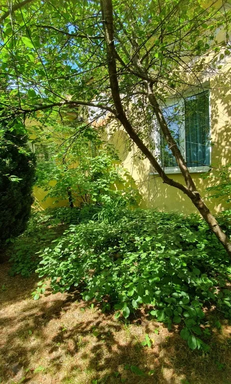 Коттедж Уютный домик в самом центре Зеленоградска — Зеленоградск