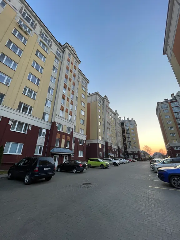 Котик и зайка