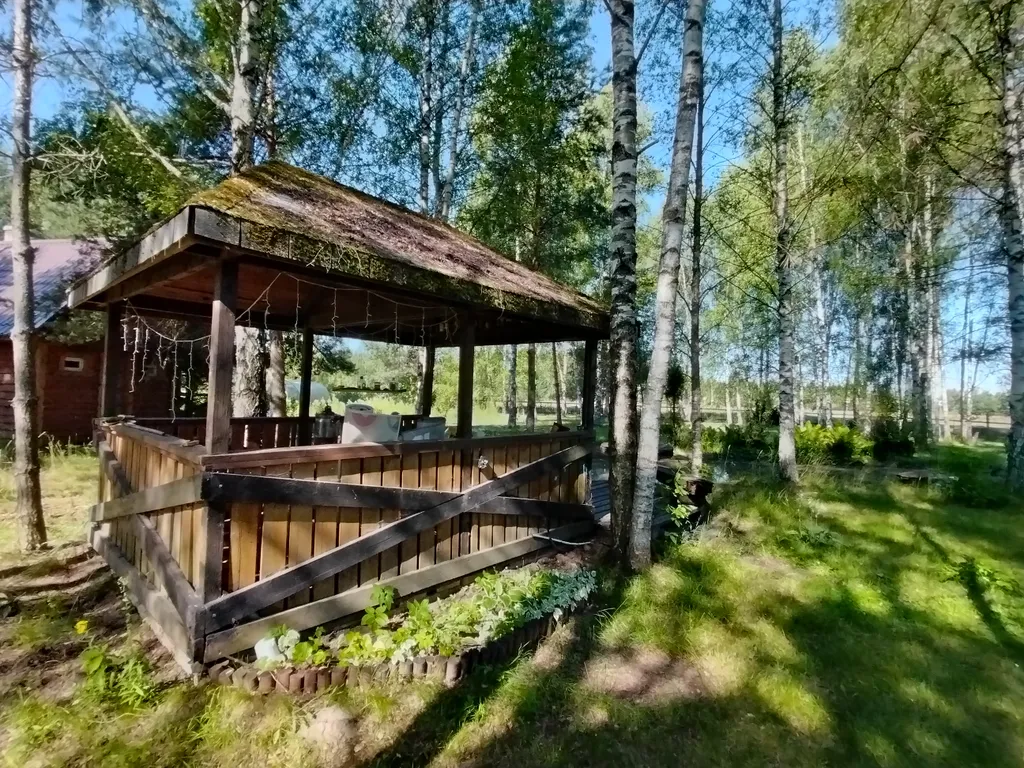 Дом на большом лесном участке