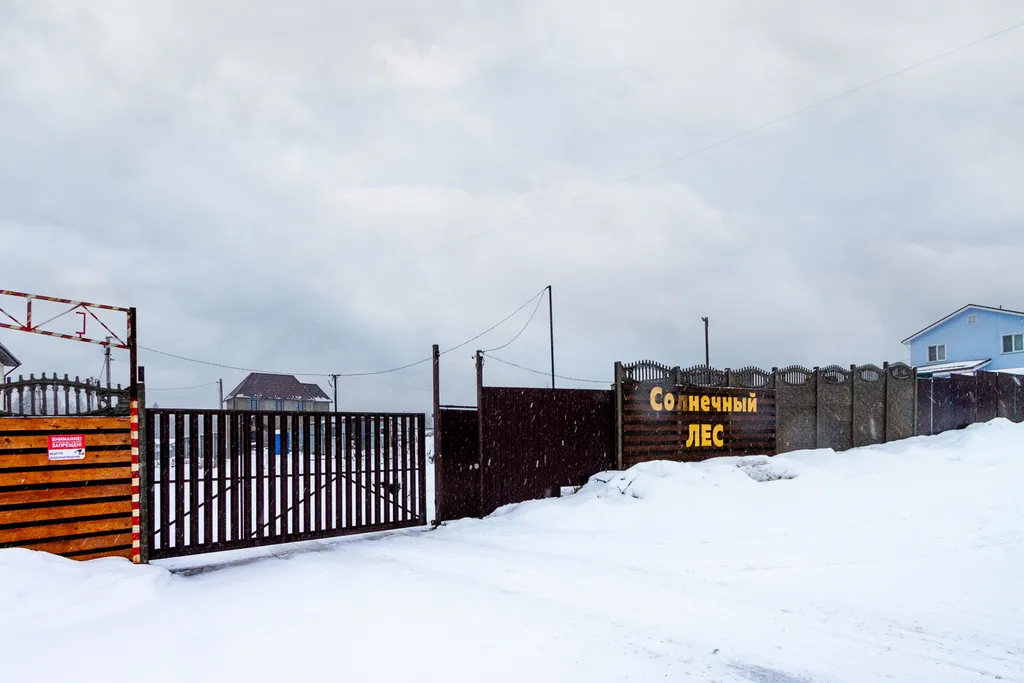 Уютный дом с панорамными окнами и видом на лес