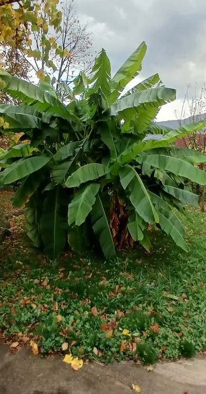 Уютный домик