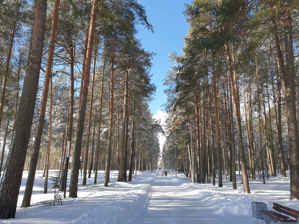 Семейный номер комфорт 2 ком. Вид на озеро и парк, в гост. Доме ранта