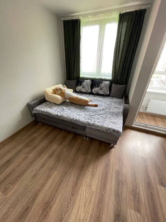 Квартира Уютная чистая светлая студия — аренда посуточно в Балашиха