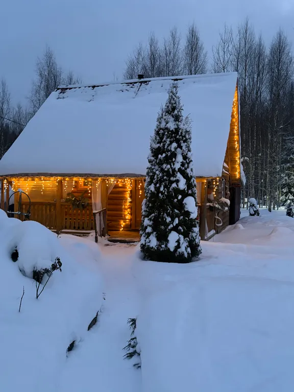 Домик в лесу с баней