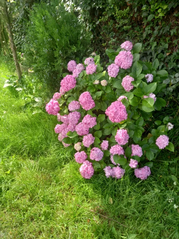 Номер со всеми удобствами в коттеджном домике